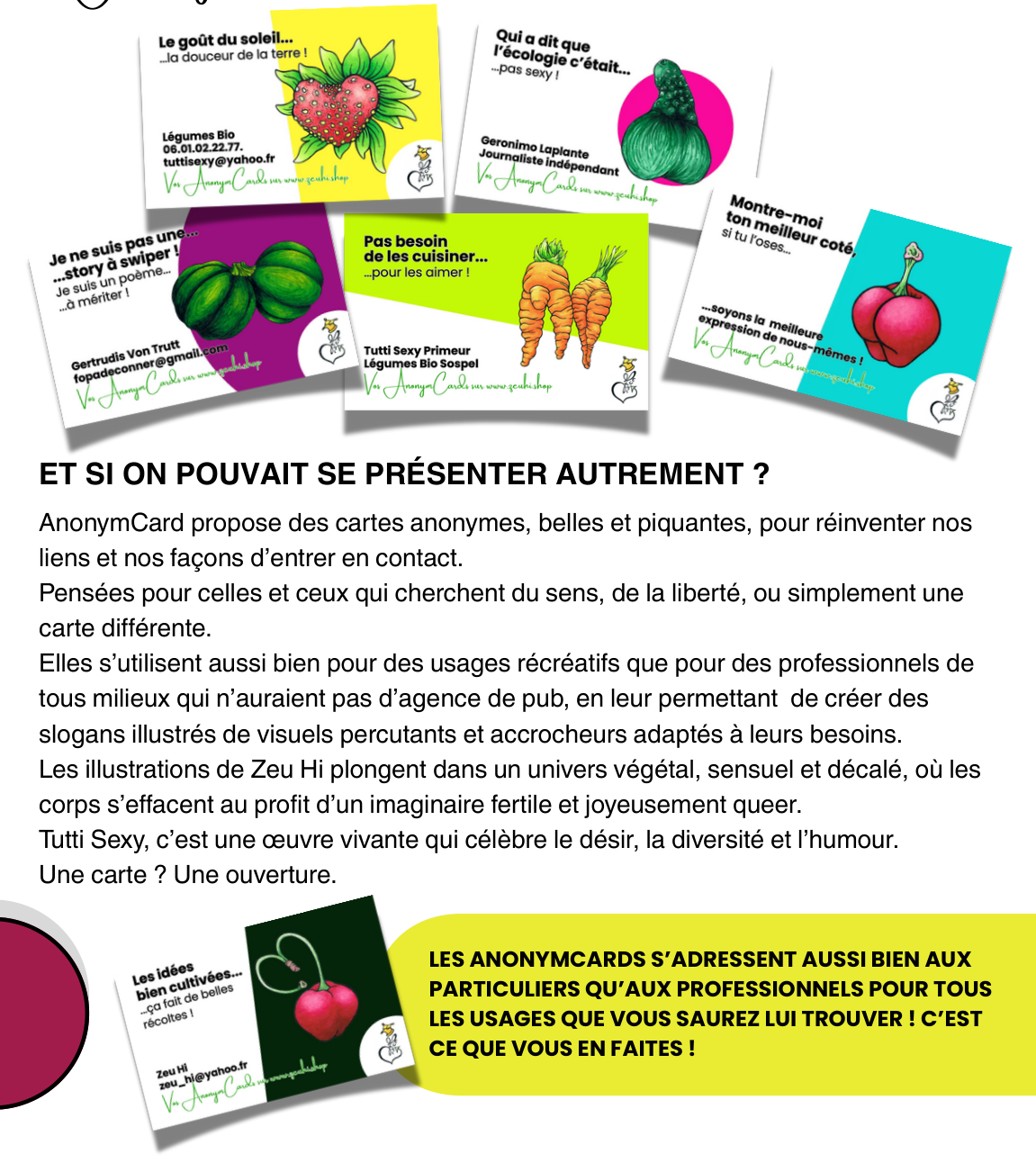 Visuel de présentation AnonymCard