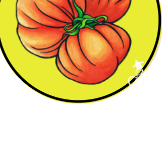 AnonymCards présentées dans un lieu professionnel.